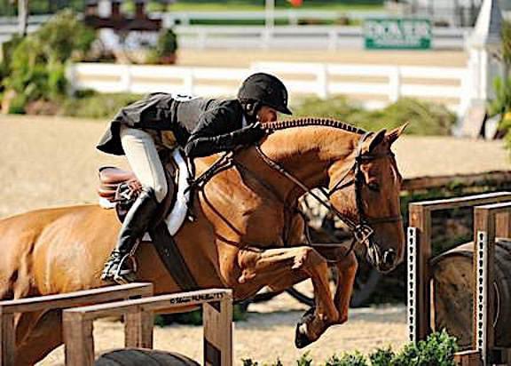 SuccessEques's tweet photo. What a great pair! The great Brunello and Liza Boyd 😮 👏 #successequestrian #noslipaaddlepads https://t.co/cDHNReStig
