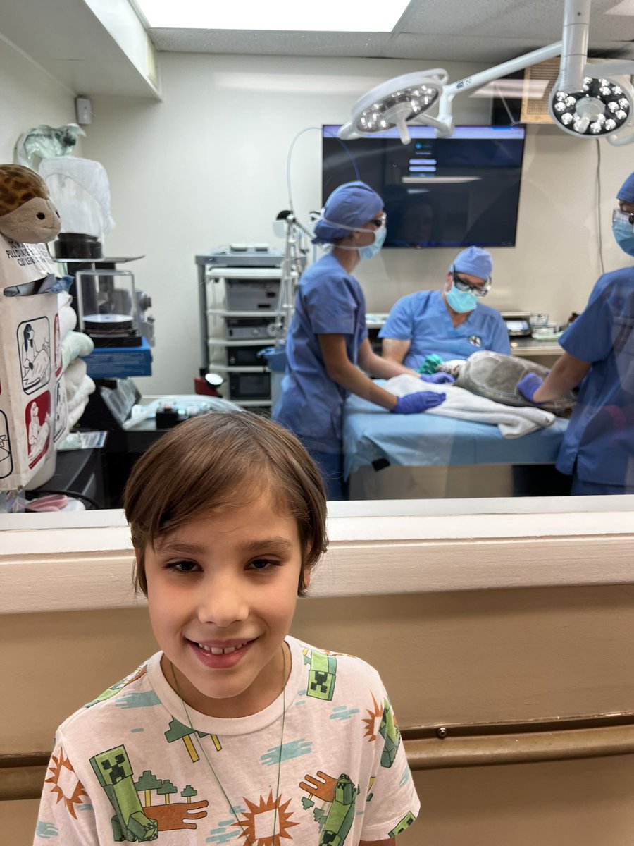 UghtonGaming's tweet photo. Day 4 was spent at the #turtlehospital

We had the chance to learn about how sea #turtles end up at the hospital, the process of bringing them in, and even see a got a see a live surgery.

The boys got to feed the sea turtles at the end of the tour. What an awesome place! https://t.co/npaL1tOzVJ