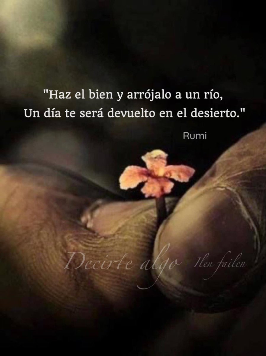 maryale1218's tweet photo. Buen día ☀️🦋🍀 https://t.co/ndJ3Bsl0fE