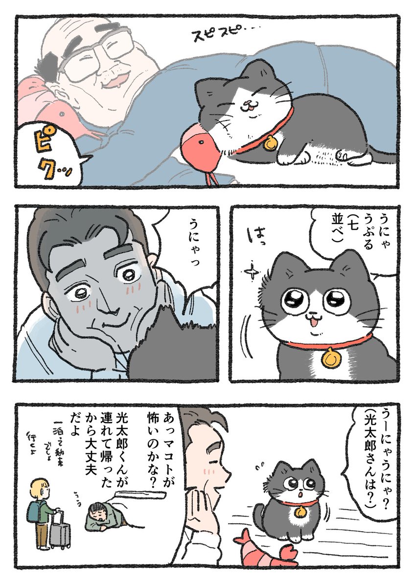 yajima_en's tweet photo. ねこに転生したおじさん。その342 https://t.co/WwfAAszh9O