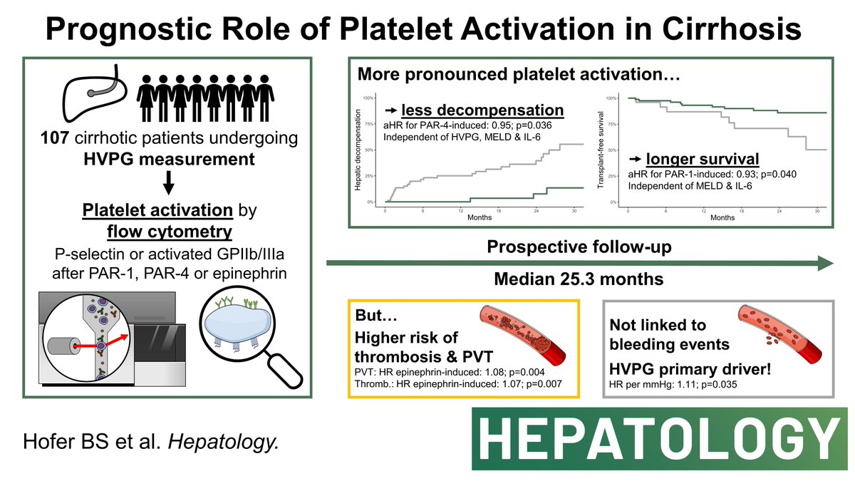 Benedikt Hofer (@benedikthofer) on Twitter photo 🔥Platelet activation in #cirrhosis #livertwitter
More pronounced #platelet activation measured by platelet count-independent flow cytometry➡️
✅Less decompensation & longer survival
🚩Higher thrombosis risk
🩸Not related to bleeding
📕<a href="/HEP_Journal/">HEPATOLOGY Journal</a>
📢bit.ly/3O4imib 🔥Platelet activation in #cirrhosis #livertwitter
More pronounced #platelet activation measured by platelet count-independent flow cytometry➡️
✅Less decompensation & longer survival
🚩Higher thrombosis risk
🩸Not related to bleeding
📕<a href="/HEP_Journal/">HEPATOLOGY Journal</a>
📢bit.ly/3O4imib