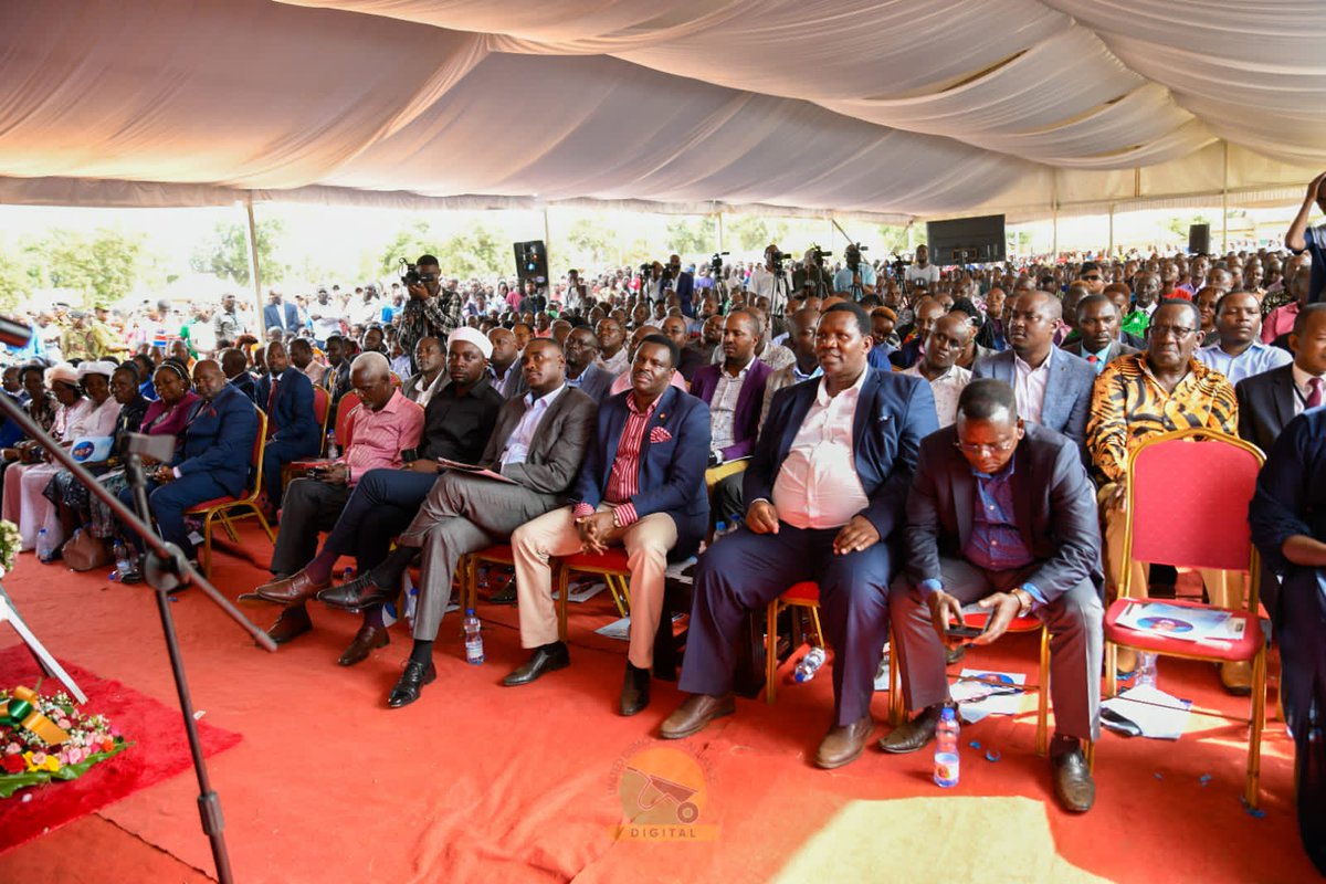 Cleo Malalah tweet media