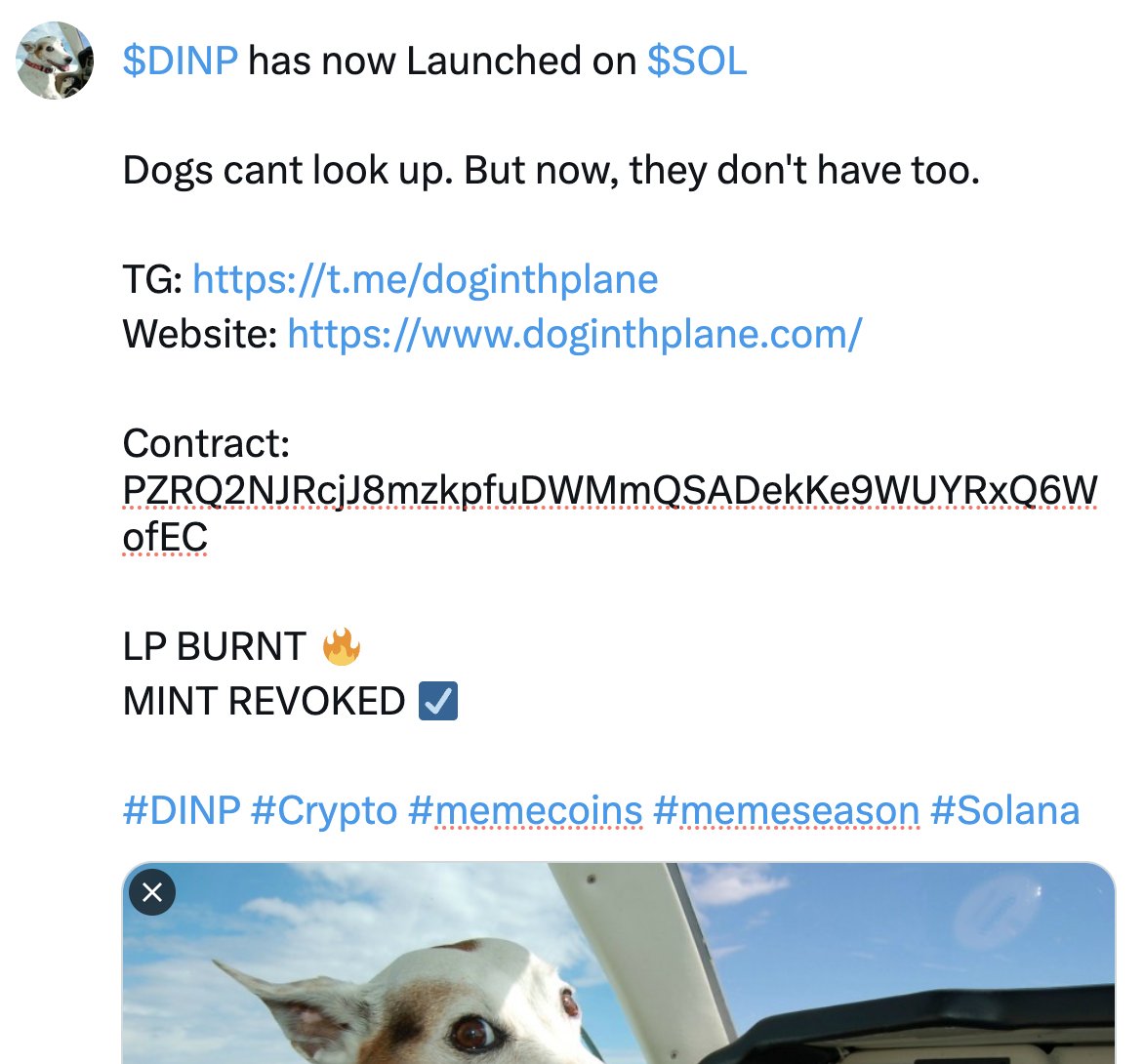 doginthplane's tweet photo. https://t.co/x3AAlyRrXR
