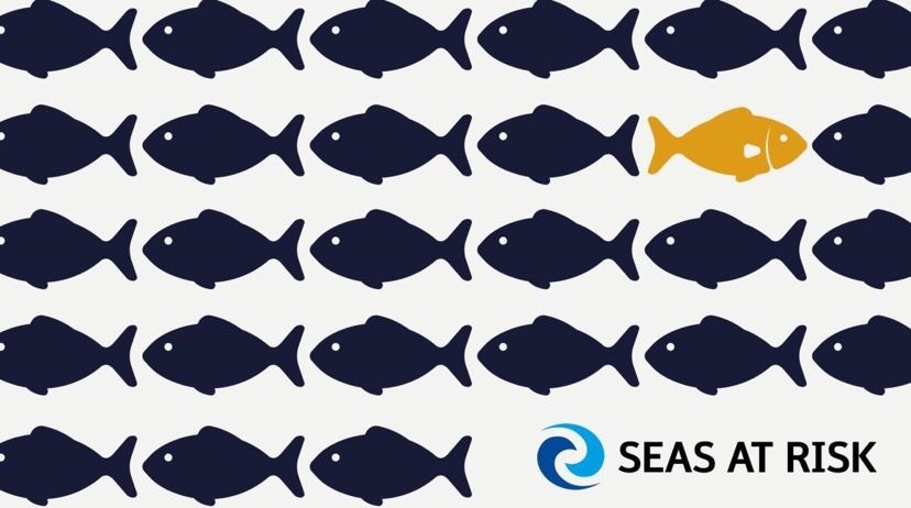 Seas At Risk tweet media