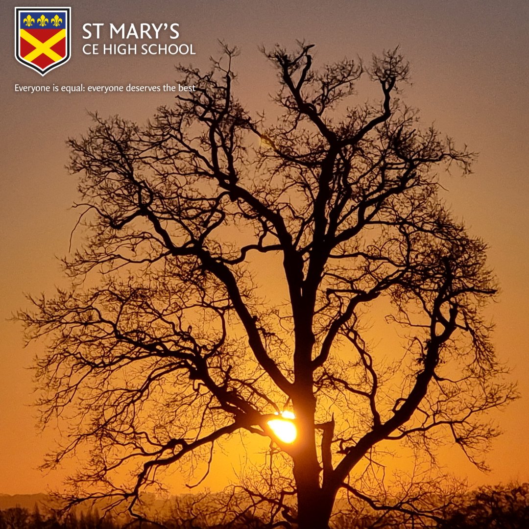 StMarysCEHigh's tweet image. The recent crisp, clear mornings provide the perfect conditions for seeing stunning sunrises, and of course our extensive grounds are a great place to view them. Take a look at these shots captured by teacher Mr Benjeddi.

#morninghasbroken #earlymornings #sunrise #schoolcampus