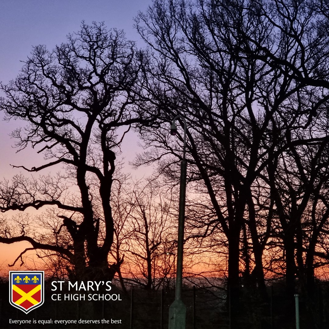 StMarysCEHigh's tweet image. The recent crisp, clear mornings provide the perfect conditions for seeing stunning sunrises, and of course our extensive grounds are a great place to view them. Take a look at these shots captured by teacher Mr Benjeddi.

#morninghasbroken #earlymornings #sunrise #schoolcampus