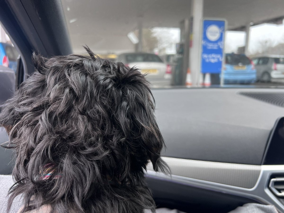 IsabellaDaxie's tweet photo. It says Pay at the Pump! Honestly Daddy some people eh? Tut xx
#realworldissues #inahurry 🙄🫣🐾🐾 https://t.co/7TEK8O34qd
