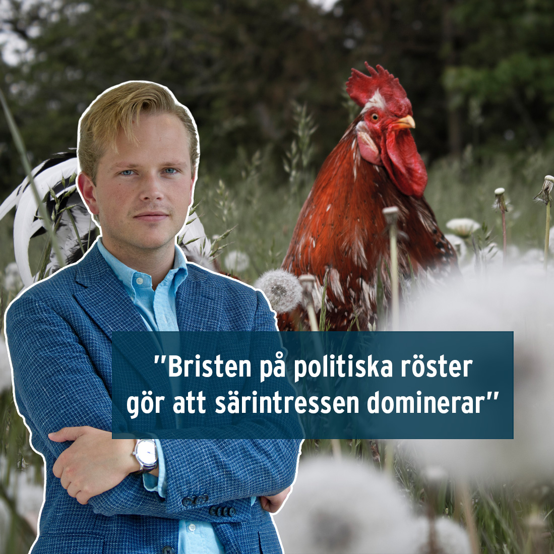 Allt färre har en koppling till lantbruket. Det här innebär att det ställs allt högre krav på att det finns människor som kan förklara för allmänheten hur lantbruket fungerar, skriver Edvard Hollertz på ATL:s ledarsidor.

🔹LÄS HÄR: atl.nu/det-som-inte-s…