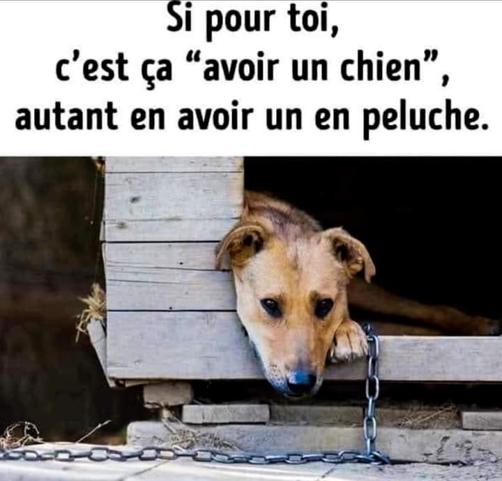 AdeaClaude's tweet photo. https://t.co/So3l2fu0f0