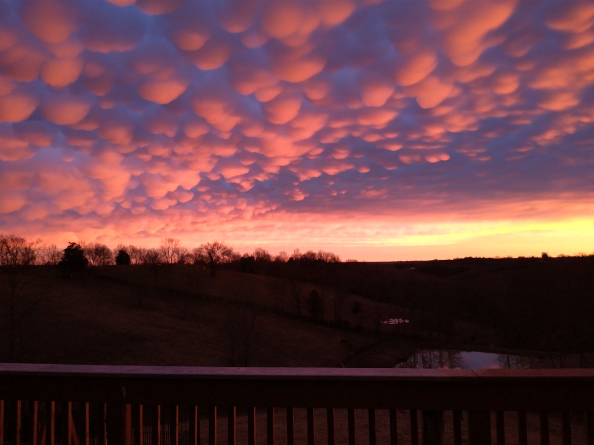 FOX19 NOW tweet media