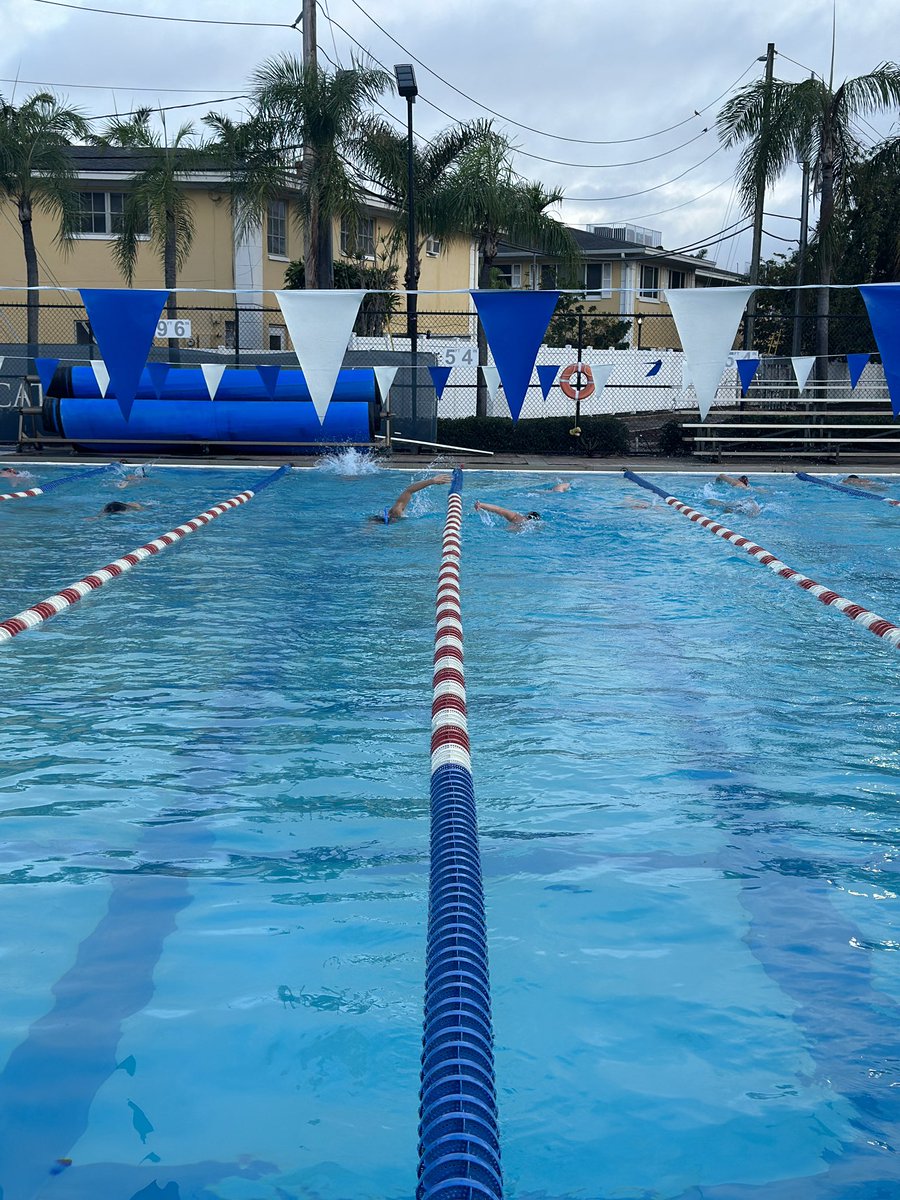 wagner_mj's tweet photo. Great training trip with @UrsinusSwimming. Always great to spend 10 days with the team! #GoBears https://t.co/WxXrk0TFxt