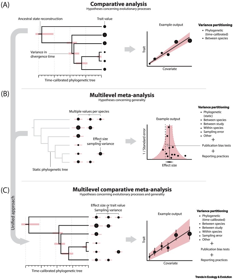 Online now: New horizons for comparative studies and meta-analyses dlvr.it/T1HxB5