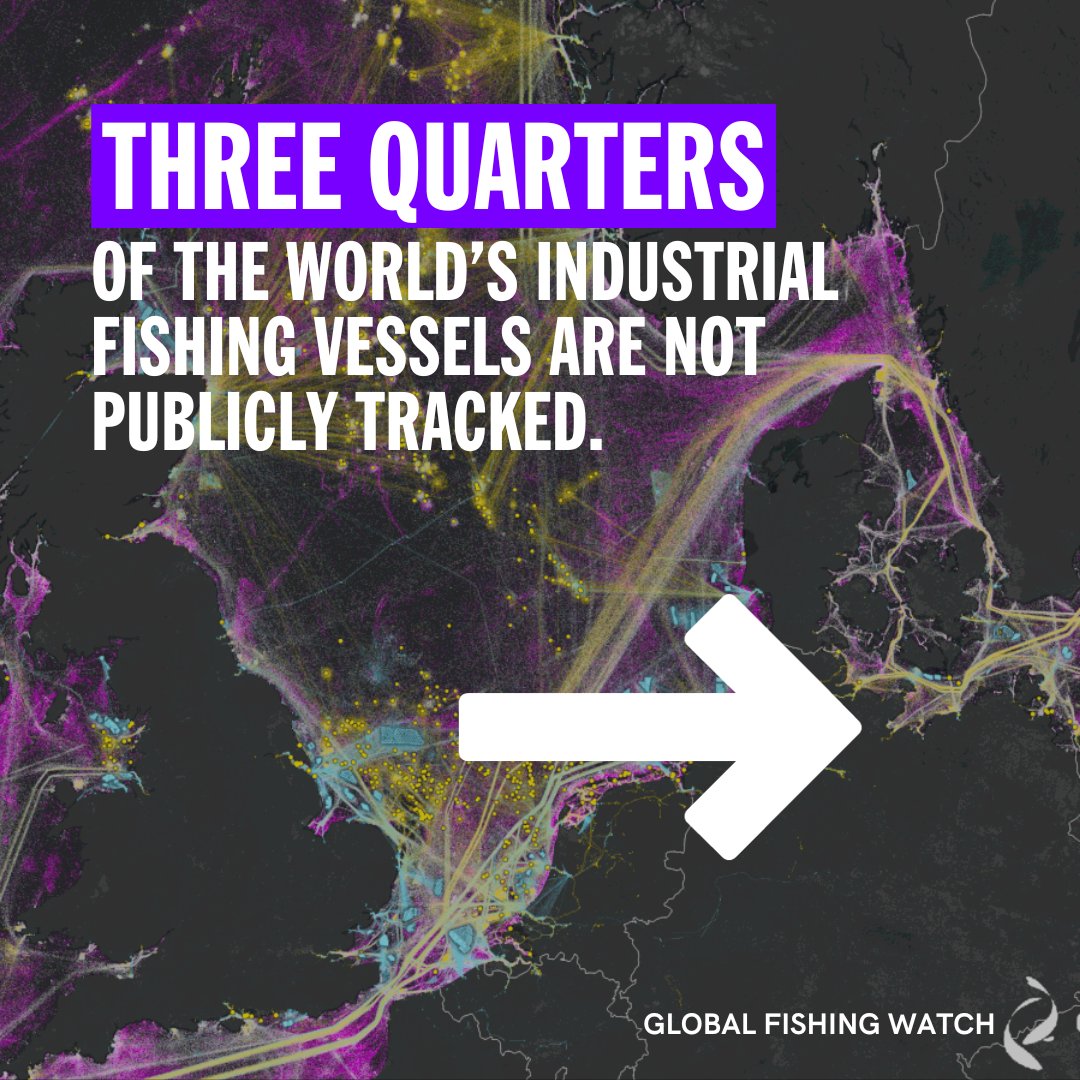 TheAudaciousPrj's tweet image. Using satellite imagery and AI, @GlobalFishWatch is able to map human activity at sea with more precision than before. 

Read more about Global Fishing Watch and its audacious plans here: 
audaciousproject.org/grantees/globa…

#AudaciousProject