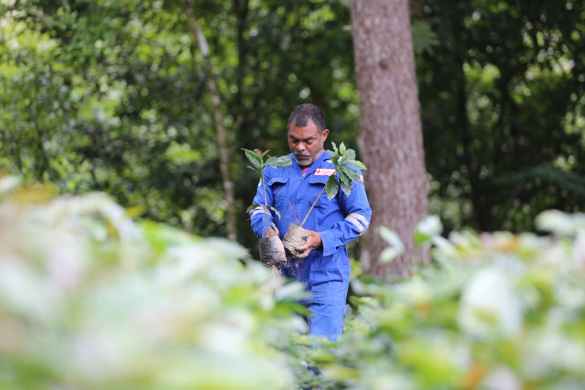 ✅🌱👷Palmichal, S.C., celebra su cuadragésimo aniversario, gracias al trabajo incansable de su talento humano, hombres y mujeres quienes  desempeñan un papel esencial en la misión junto a Pequiven como brazo  ambiental. 🌱🇻🇪💯
#VenezuelaHumanaYPatriota