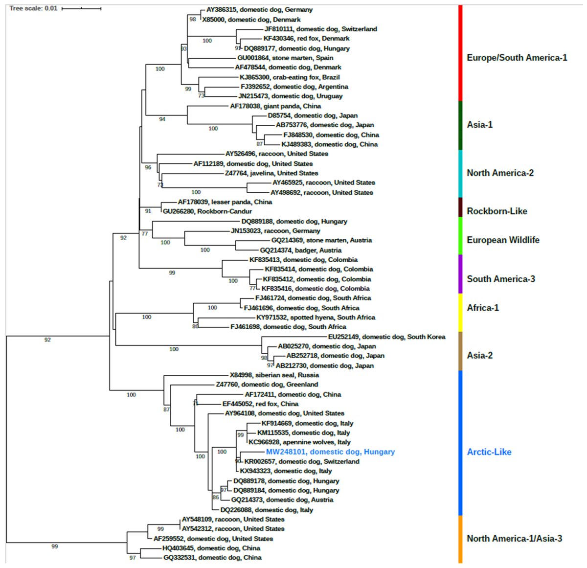 🎯Prolonged #Infection of Canine #Distemper Virus in a Mixed-Breed #Dog

🎓 by Zsófia Lanszki, Gábor Kemenesi et al from National Laboratory of Virology, Szentágothai Research Centre, University of Pécs, Hungary

Full Article Link:
👉 mdpi.com/2306-7381/8/4/…