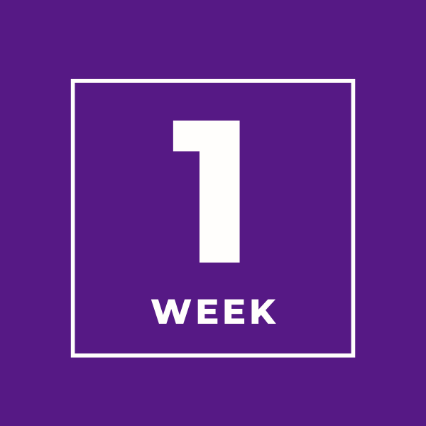 We are just ONE WEEK away from our 6th Annual Educating the Whole Child Summit: Stories of Success in Plainfield, Indiana on January 19, 2024!

We are so excited to see you for a day of learning, sharing, and networking!

For more info, please visit: go.iu.edu/4gV1