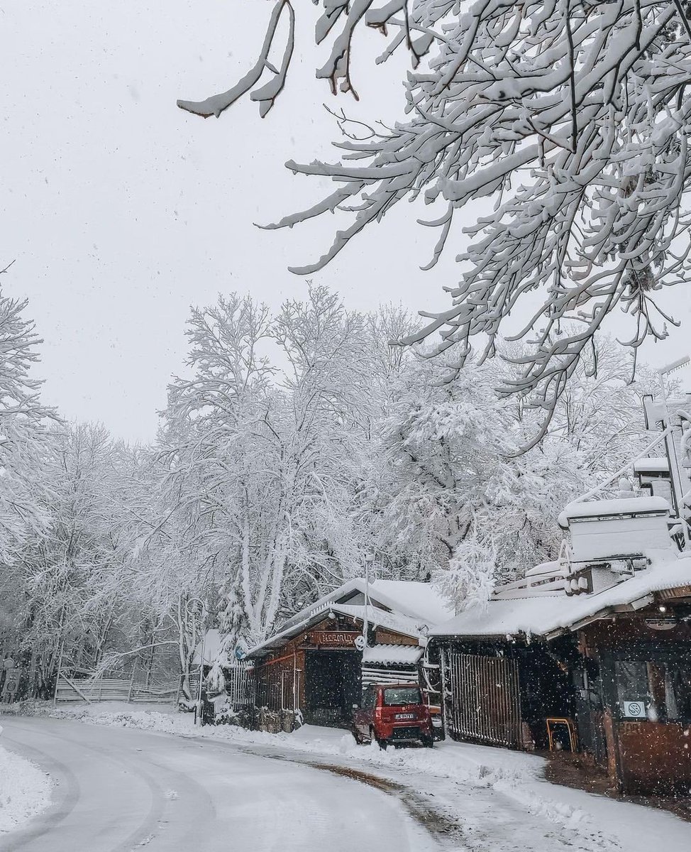 Un paesaggio fiabesco ci accoglie a Forca d'Acero nel Parco Nazionale d'Abruzzo Lazio e Molise. Un luogo stupendo in tutte le stagioni dell'anno 😍 📸 IG luna_dagostino #VisitLazio #LazioIsMe #LazioEternaScoperta