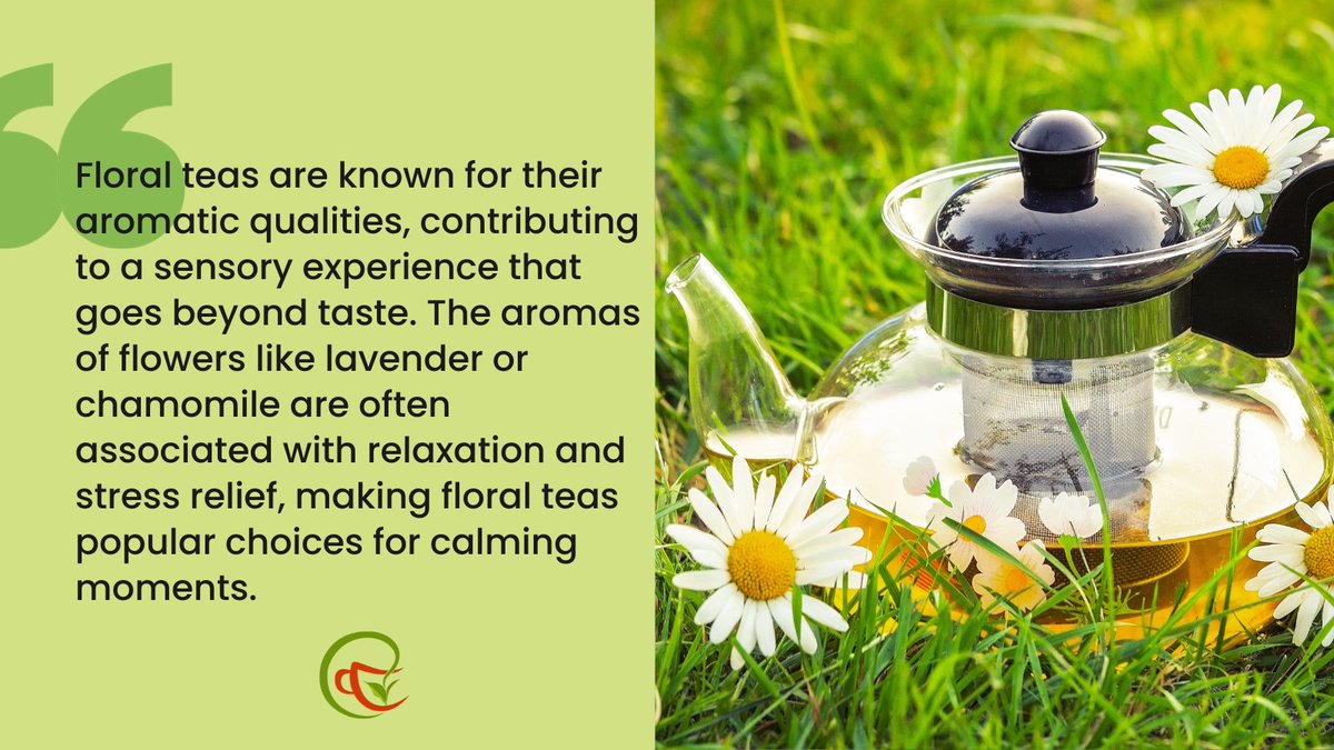 CamelliaTwigs's tweet photo. Blooming beauty in every steep. Sip on the elegance of floral teas – where petals meet perfection, and every cup is a fragrant journey.
#floralTea #FlowerTea #Teabenefits #TeaTalk #TeaWisdom #TeaKnowledge #TeaTime #TeaInformation #IndianTea #teaduo https://t.co/rripWqi2JS