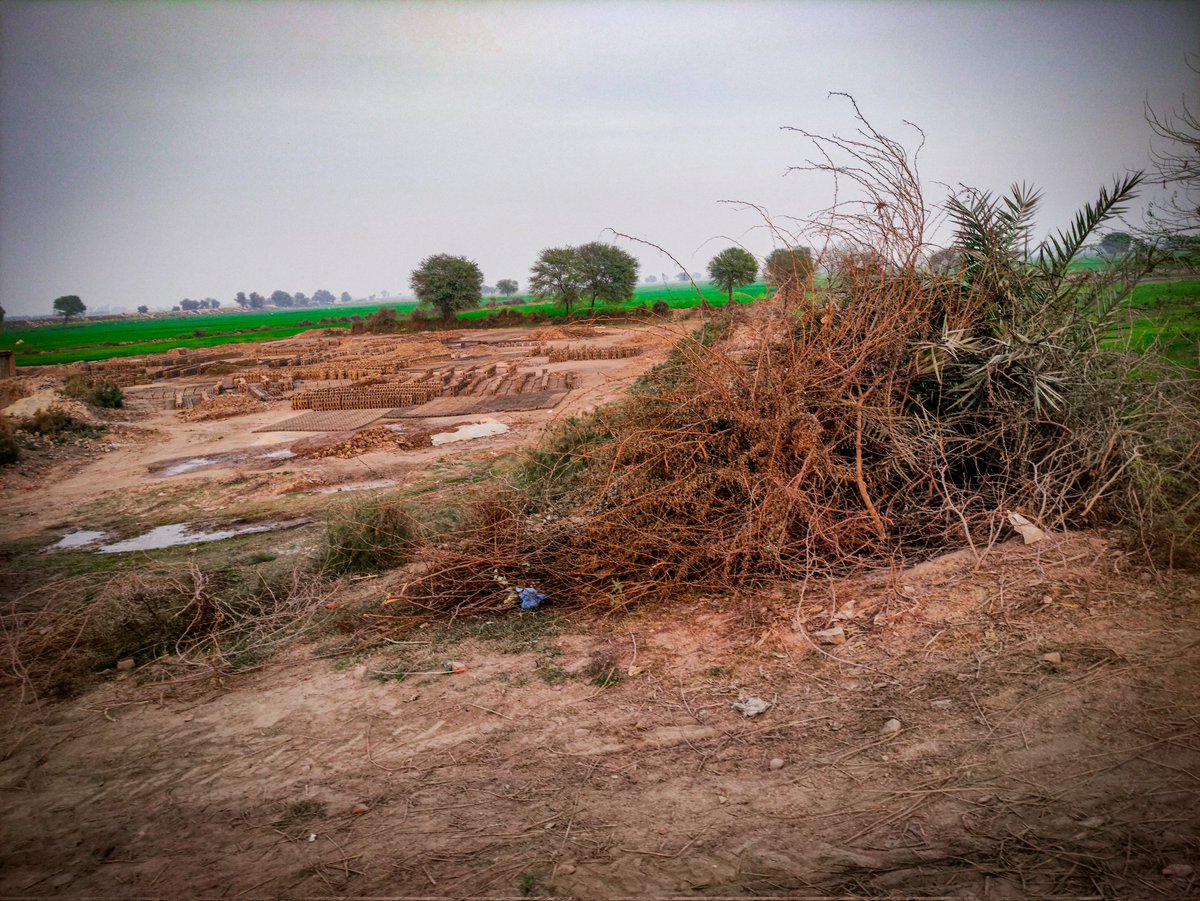 maxRECORDSS's tweet image. مڙئي جمعي جمعي ڏينهن ڳوٺ ۾ واڪڙي ڪرڻ نڪرندو آهيان.. وري چائنا جي موبائلڙي سان فوٽوگرافڙي به ڪندو آهيان 😍 
#Gothano #maxRECORDS 🔥 #POCOX3