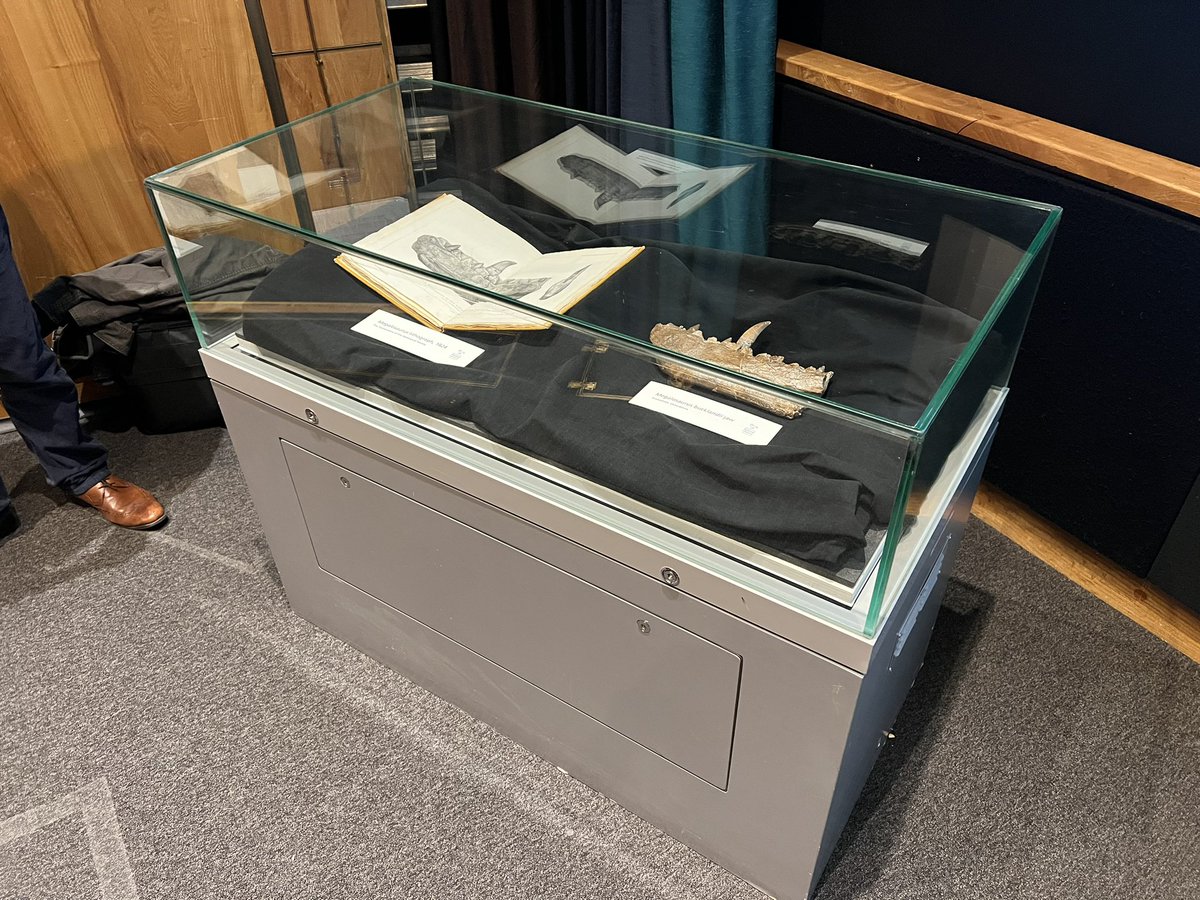 The 5am start, 5 hr round trip Oxford-London, &amp; 16 hour day were all worth it to bring the iconic #Megalosaurus type specimen to the 200 Years of Dinosaurs Conference.

The delegate’s reaction to the big reveal is my highlight of the year so far!

#SoTiredButStillSmiling