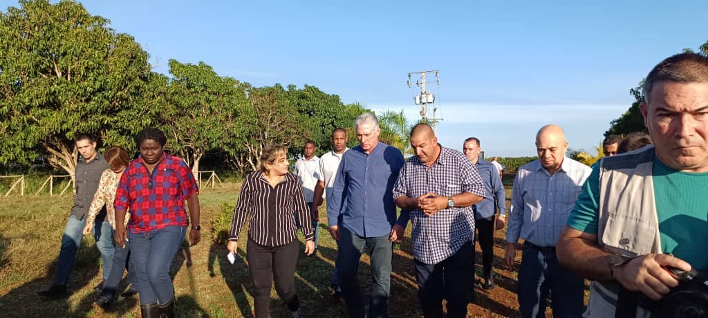 SuselyMorfaG's tweet photo. El Primer Secretario del Comité Central del Partido y Presidente de la República de Cuba, @DiazCanelB  inició por la UBPC Gispert del municipio matancero de Colón un recorrido por nuestra provincia.
#MatancerosEnVictoria
@DrRobertoMOjeda @YdaelB
@gpppmatanzas
 @asamblea_colon https://t.co/wrpx3HpHa4