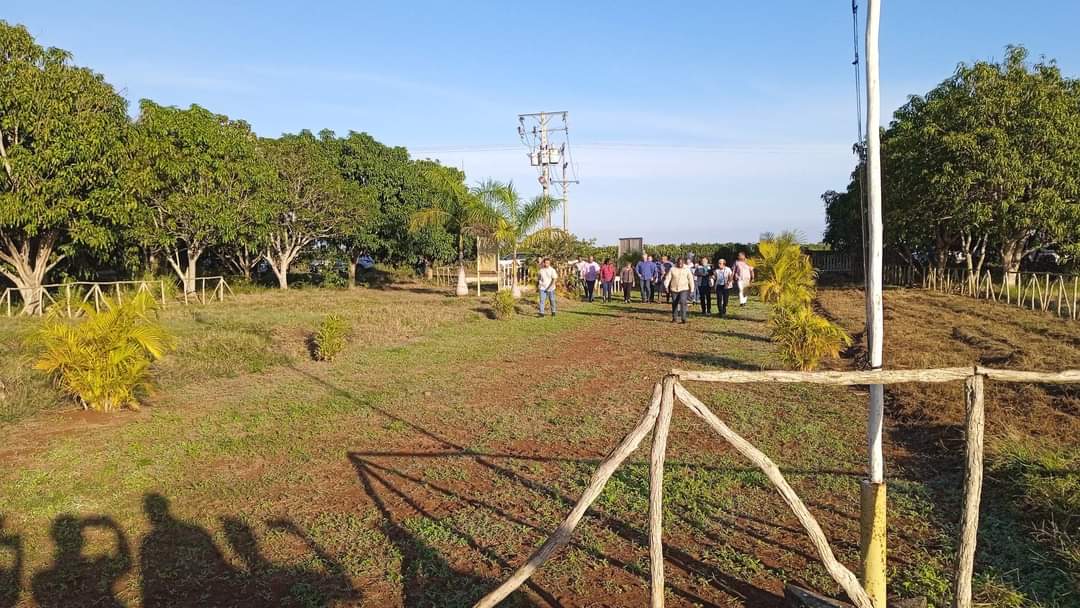 SuselyMorfaG's tweet photo. El Primer Secretario del Comité Central del Partido y Presidente de la República de Cuba, @DiazCanelB  inició por la UBPC Gispert del municipio matancero de Colón un recorrido por nuestra provincia.
#MatancerosEnVictoria
@DrRobertoMOjeda @YdaelB
@gpppmatanzas
 @asamblea_colon https://t.co/wrpx3HpHa4