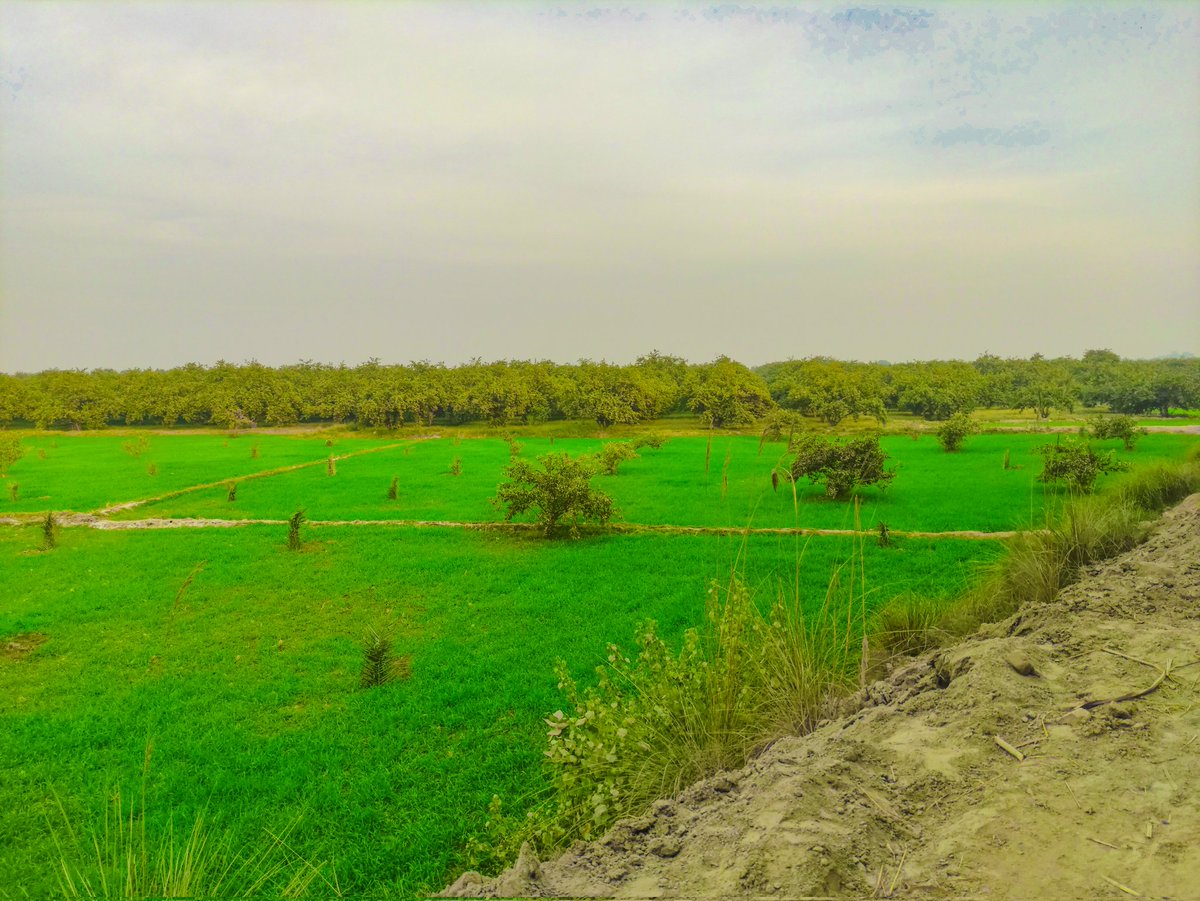 maxRECORDSS's tweet image. مڙئي جمعي جمعي ڏينهن ڳوٺ ۾ واڪڙي ڪرڻ نڪرندو آهيان.. وري چائنا جي موبائلڙي سان فوٽوگرافڙي به ڪندو آهيان 😍 
#Gothano #maxRECORDS 🔥 #POCOX3