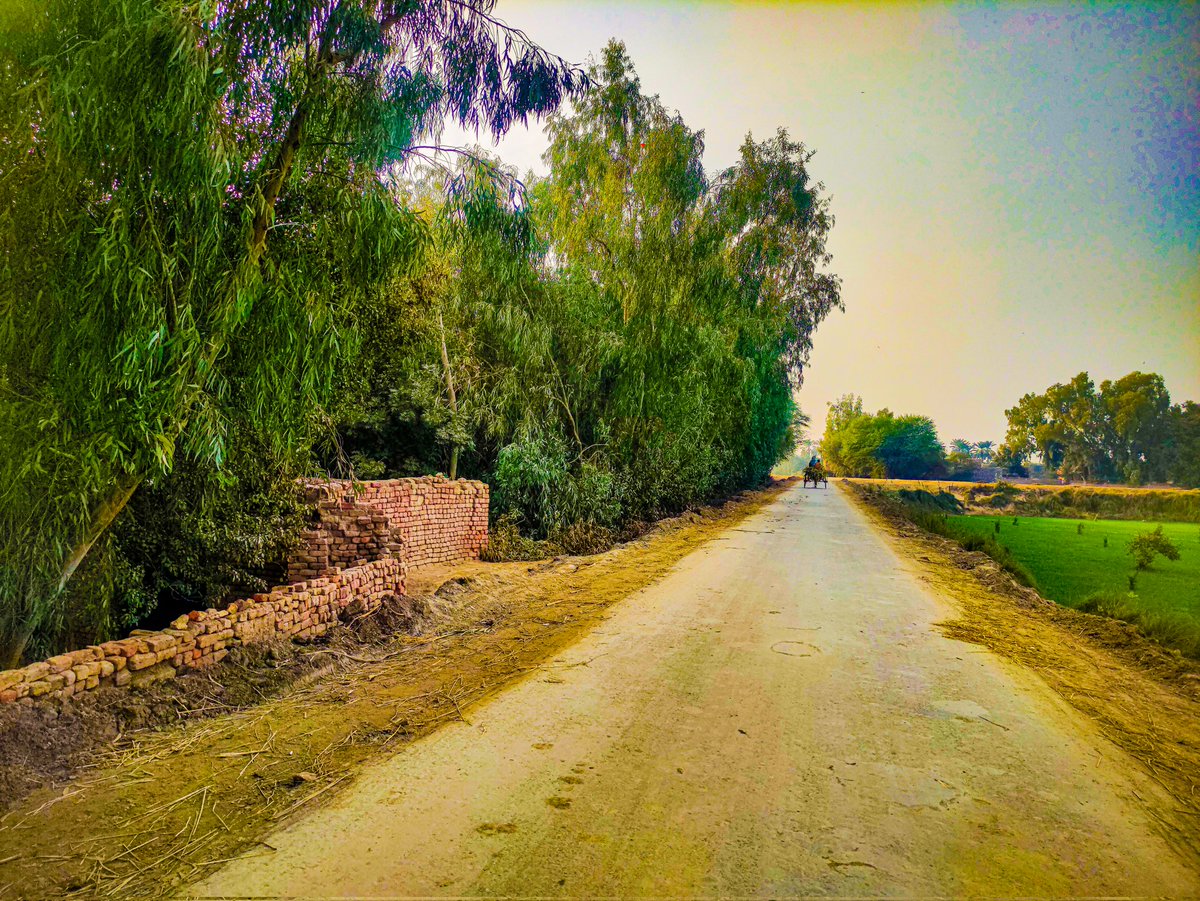 maxRECORDSS's tweet image. مڙئي جمعي جمعي ڏينهن ڳوٺ ۾ واڪڙي ڪرڻ نڪرندو آهيان.. وري چائنا جي موبائلڙي سان فوٽوگرافڙي به ڪندو آهيان 😍 
#Gothano #maxRECORDS 🔥 #POCOX3