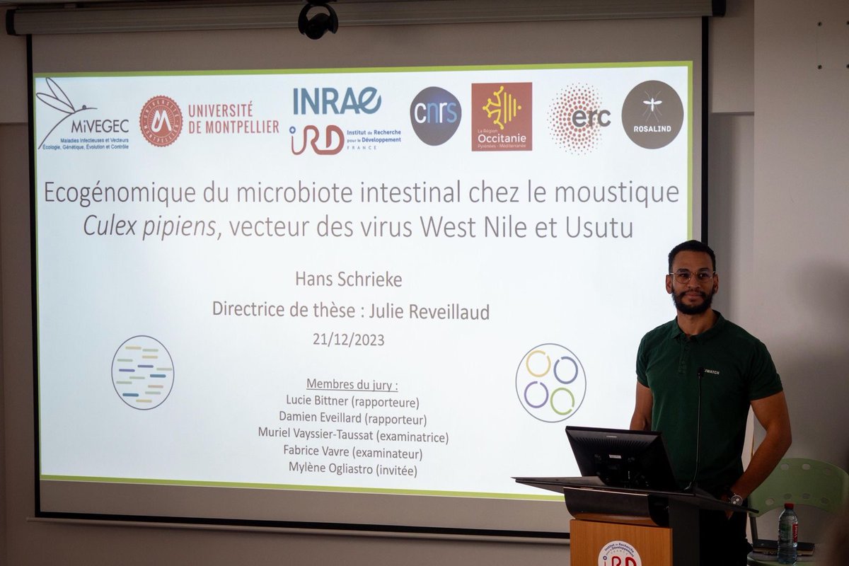 Julie Reveillaud tweet media