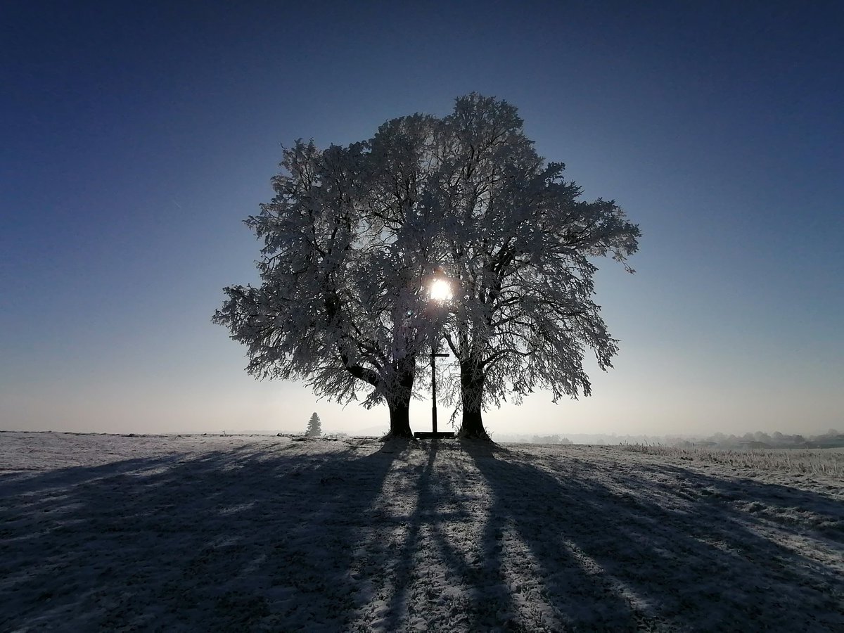 Ist das nicht ein herrliches Plätzchen?
