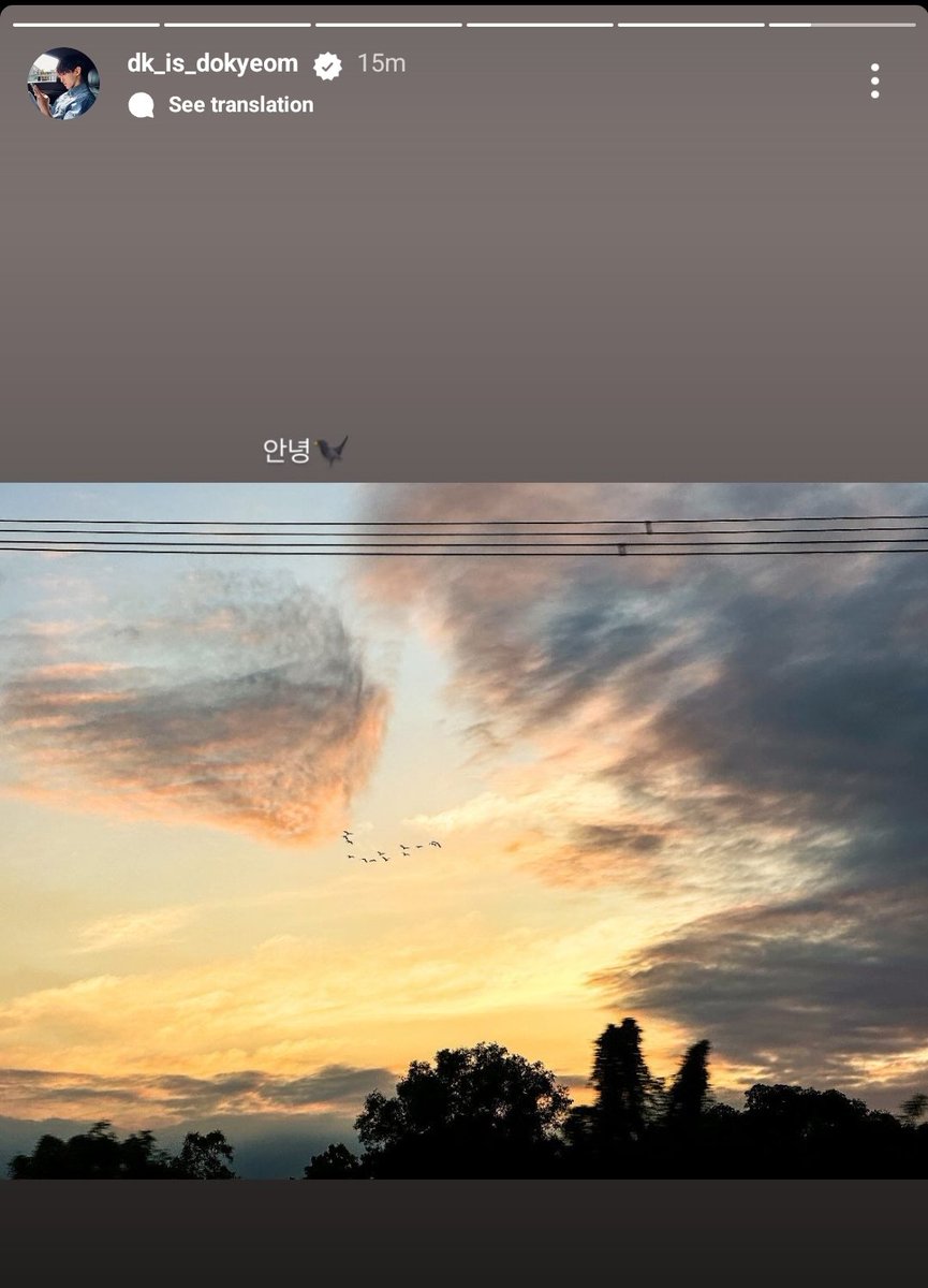 aaagustDK_'s tweet photo. How lucky can you get???? There are 13 birds in the picture!!! 🥹🩷🩵

Seventeen, you really are amazing. 👏 https://t.co/eyPGEVz4u6