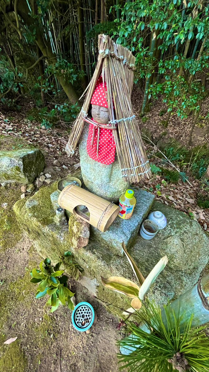 yrkr88_sgb's tweet photo. なんか、カワユイ #お地蔵さん😁
What a cute #Jizo statue.
あと、温かいせいかこの1月に
#寒桜 少し咲いてて #異常気象 感じまする🌸
Maybe it's because of the warm weather, the #kanzakura are blooming a little this January, and it feels like #abnormalweather. https://t.co/OSII7a6XBG