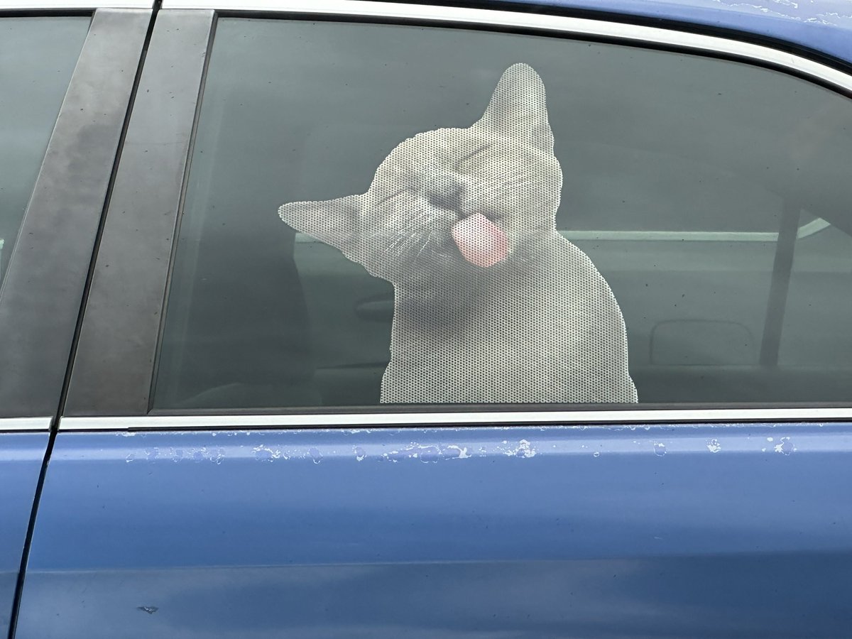 Tom Zarecki, MBA tweet media