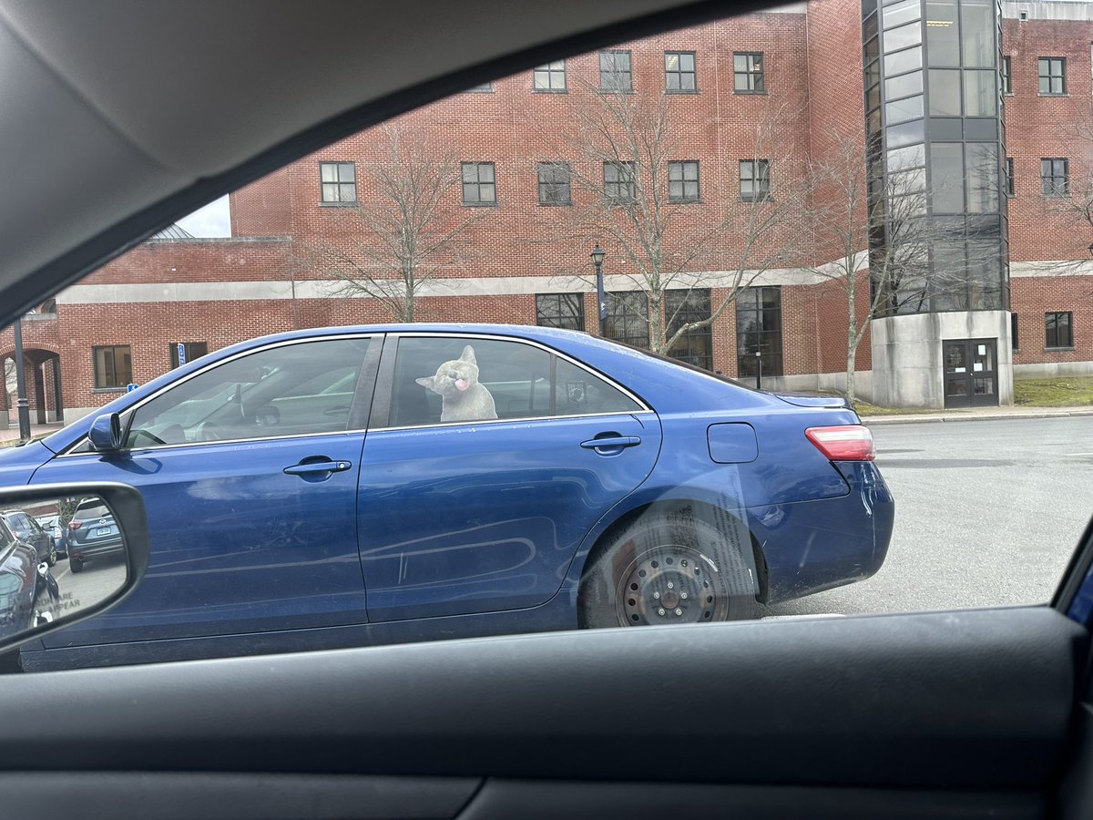 Tom Zarecki, MBA tweet media