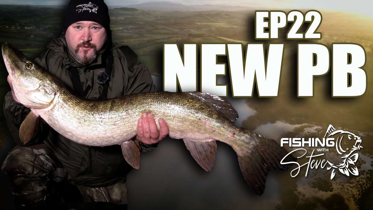 Fishing with Steve – Catching Monster Pike With Deadbaits fishinginireland.info/2024/pike-repo…… via Fishing in Ireland - Catch the unexpected