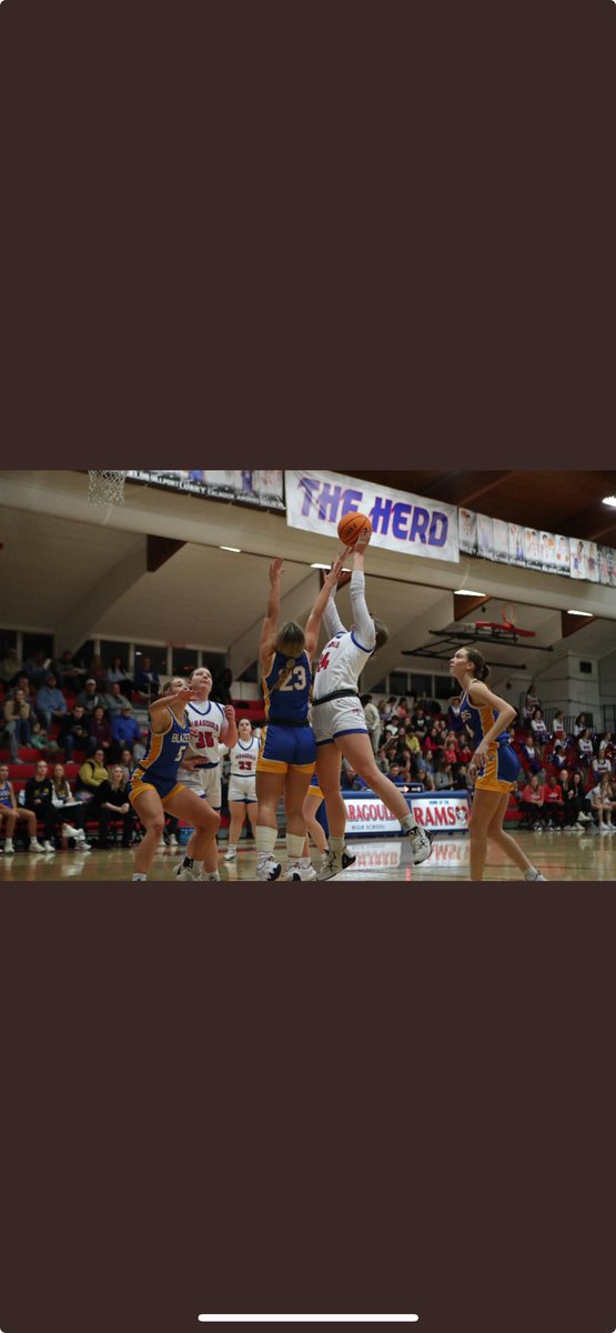 Lady Blazer Hoops tweet media