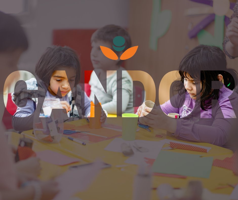 Candor Consulting and Diagnostics tweet media