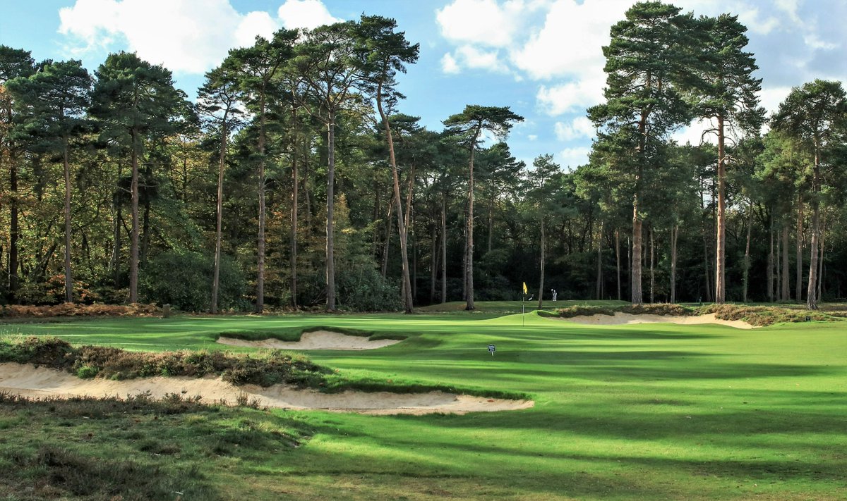 9th green, New Zealand, Surrey, England. 
In 2020 and 2022.

Designed by Tom Simpson. 
Restored by Frank Pont.

Contractors: <a href="/conorWalsh11/">CJW Golf International</a> (course) &amp; @rossmacneil2 (woodland)

Photos: CDP &amp; <a href="/Cannonball63/">David Cannon</a>