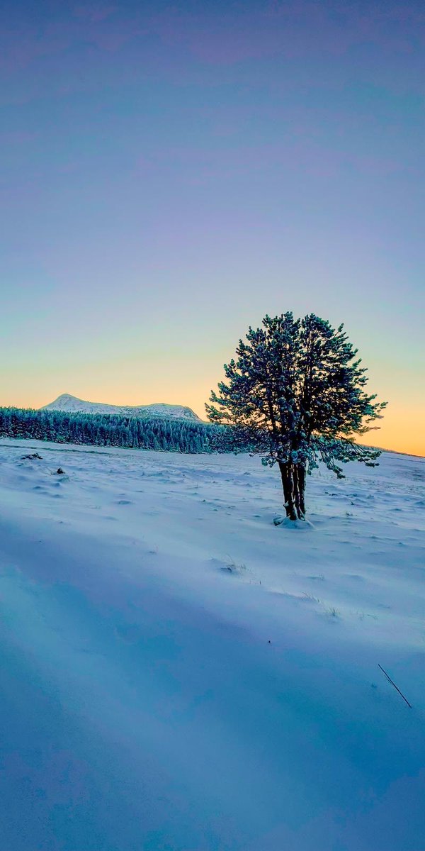 Quand le toit du Velay se pare de son manteau blanc ❄️☃️😘#lepuyenvelay  #mezenc #ardeche #hauteloire
