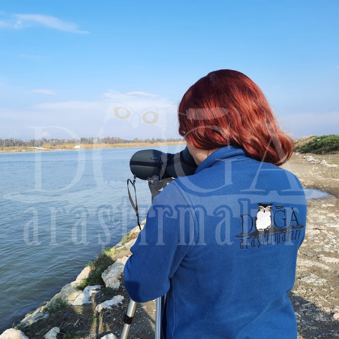 dogaarastirma's tweet photo. Adana Tuzla Lagününde ve Mersin Dipsiz Lagününde Kış Ortası Su Kuşu Sayımlarını  (KOSKS) tamamladık. 

#doğaaraştırma
#doğakoruma 
#KOSKS https://t.co/66OGoduKwr