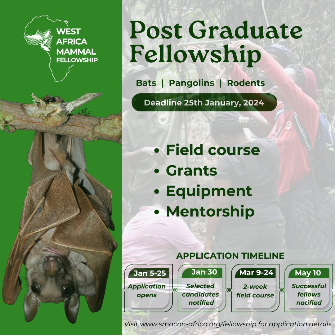 smaconbats's tweet photo. We are still accepting applications for the West Africa Mammal Fellowship!
Visit https://t.co/dcLANJDejt to apply.
#Fellowship #WAMP #WAMF #SMACON #Africa #Conservation #Science https://t.co/Oh1Qaa7q3R