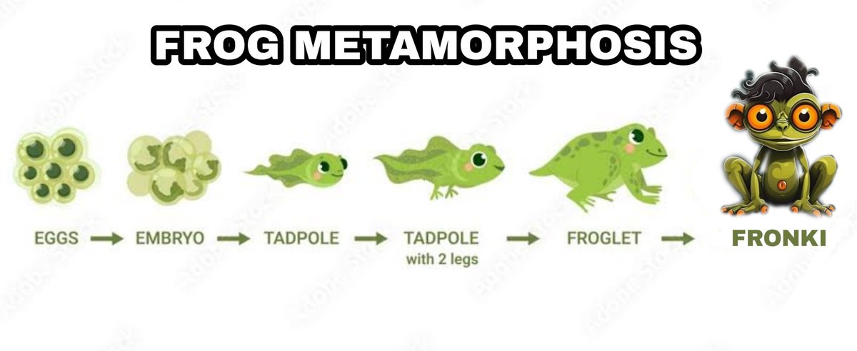 peoplevariant's tweet photo. @Fronkicoin Fronki metamorphosis #MemeContest https://t.co/mH4LaE8Rby
