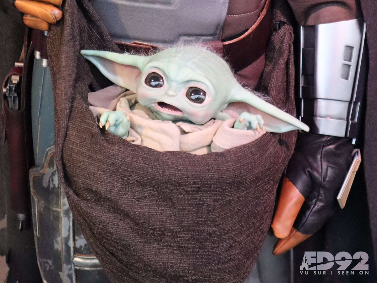 ED92Magic's tweet photo. Anyone else dying of cuteness when they see Grogu at his new meet and greet 🥹

Mando’s there too ✨ https://t.co/D5t8xPruYW
