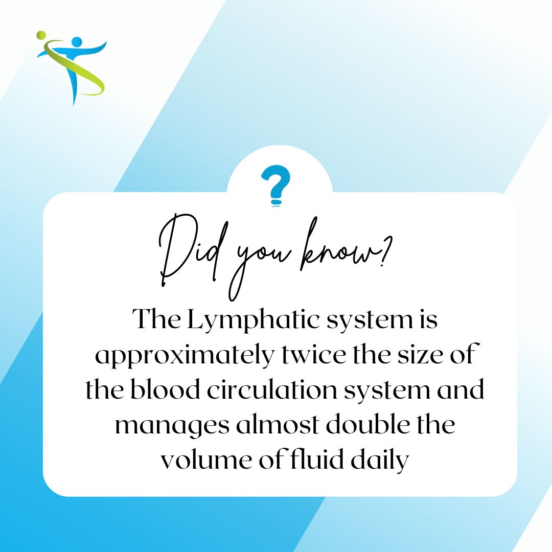 thetherapyvenue's tweet image. 👉 Read more on our blog or get in touch if you have questions:  therapystation.co.uk/lymphatic_syst…
👉 You can book a Lymphatic treatment online

#lymphaticsystem #lymphaticdrainage #lymphaticmassage