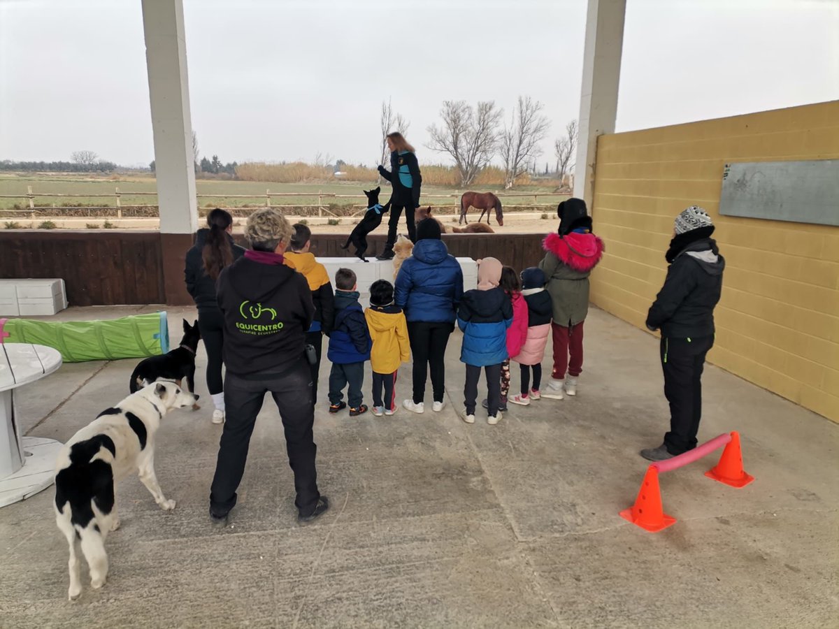 k9malaga's tweet photo. 👋 ¡Hola amigos de #K9Malaga!

En esta publicación os mostramos a nuestras compañeras y binomio 𝗔𝗡𝗔 𝗬 𝗧𝗜𝗡𝗔 colaborando con @equicentroterapiasecuestres de Villamayor de Gállego (Zaragoza) en las Colonias Inclusivas.

🔴⚫️🟡  #K9Malaga #equicentroterapiasecuestres https://t.co/9fh1QpQnMa