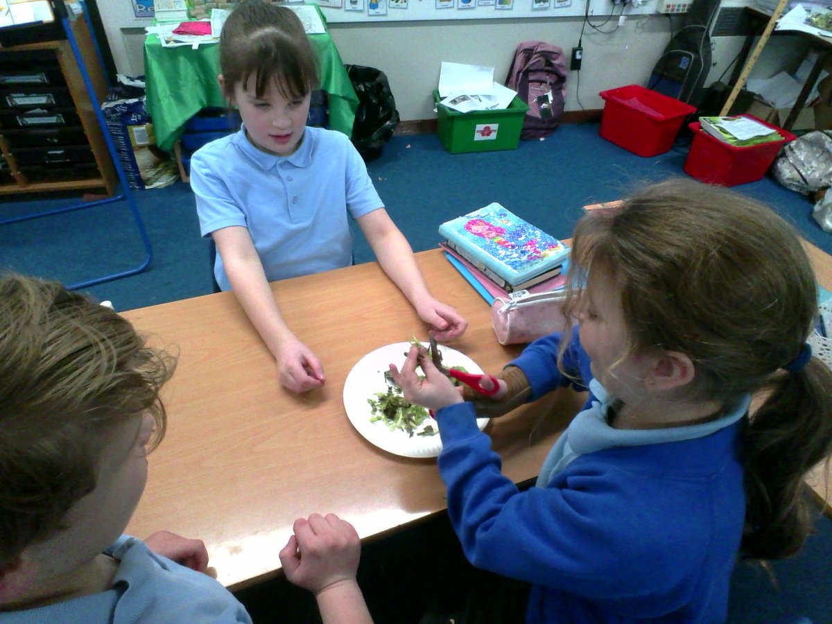AppleySaintsCE's tweet photo. #ABASY4 have been using different objects to represent the different types of teeth humans have. Lego bricks for molars, scissors for canines and tweezers for incisors. They used them to breakdown lots of different types of food! #ABASSci @WN6_Mums @STEMLearningUK @FriendsPrimary https://t.co/hKlHIy8sFu