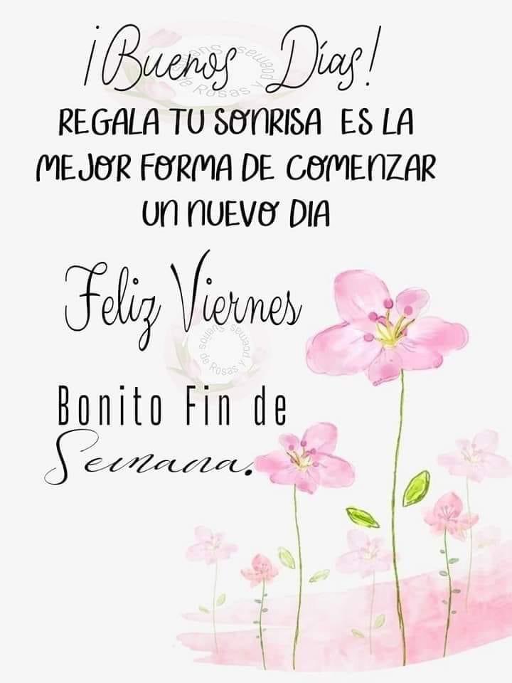 lety_roza's tweet photo. Todo lo que hagas, si lo pones en manos de Dios, saldrá bien.
#BuenosDías #FelizViernesATodos https://t.co/w2UexAQQC2