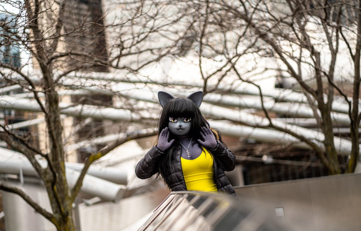 Snowstorm on the way this #FursuitFriday! It's cold out here, but my heart is warmed by all the support people have given me the last week over my father's passing. Thank you all! 📸: @Afrodyte87 #furry #fursuit #NEKO #anthrokig #furkig #kigurumi #cats #catgirl