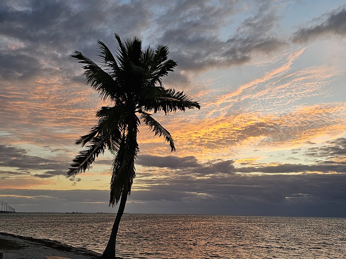 Fridays are made for heading to Key West. The island vibes, beautiful views, and vibrant atmosphere await. Share your Friday plans and favorite Key West activities with us! 🏝️🚗🌞 #KeyWestAdventures #IslandLife #WeekendEscape #FridayFeeling #KeyWestVibes #IslandLife #FloridaKeys