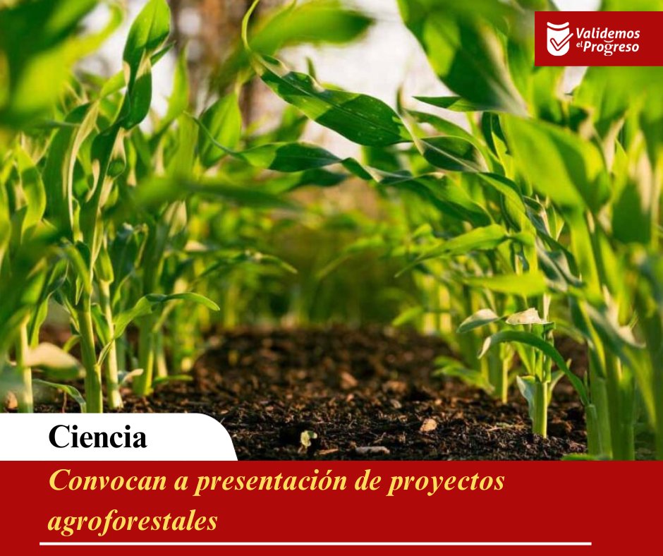 UG_Cuba's tweet photo. 🌱🌳El Programa Agroforestal y #Desarrollo Sostenible  de #Ciencia, Tecnología e Innovación lanza la convocatoria a  la presentación de proyectos.
#ValidemosElProgreso  @CubaMES @ArandaCreagh @NaranjoVladimir @citmacuba @WalterBG_MES @ElbaRosaPM https://t.co/5vmex7hr40